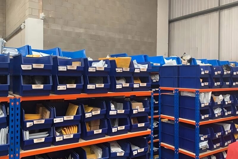 Unlocking the Potential of Gray Poplar Dropshipping in Your Business