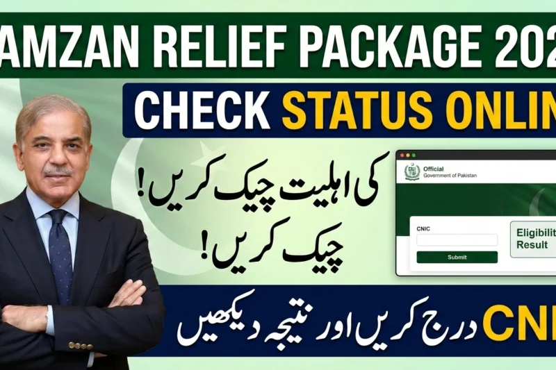 Unlocking the Potential of pmrrp.nitb.gov.pak: Revolutionizing Public Sector Services in Pakistan